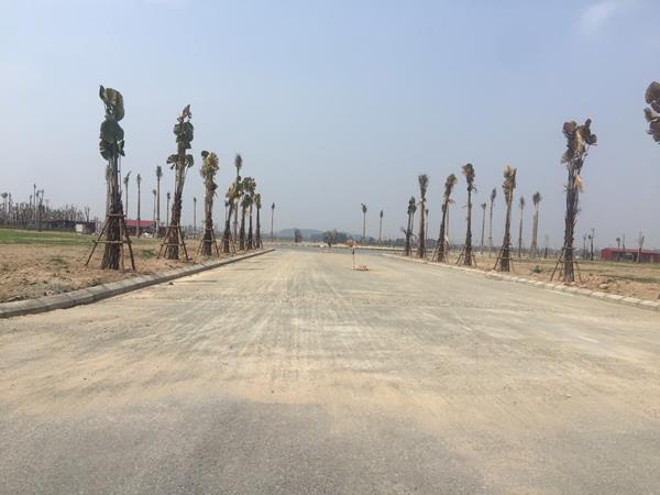 anh-thuc-te-du-an-hud-me-linh-central (9)